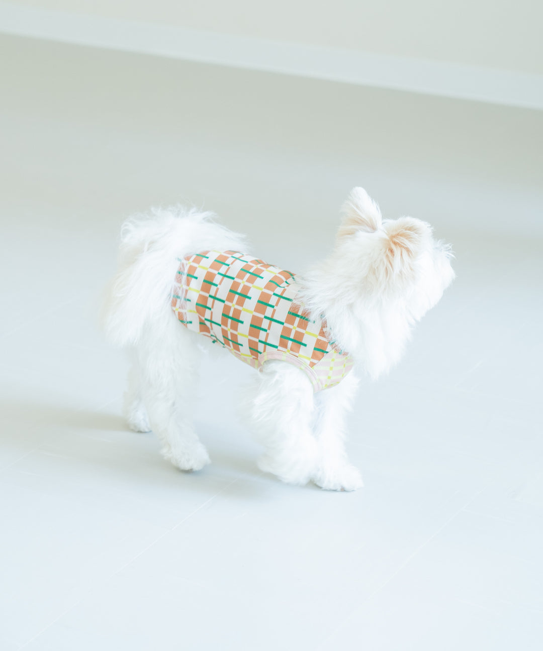 SUNGRID DOG WEAR
