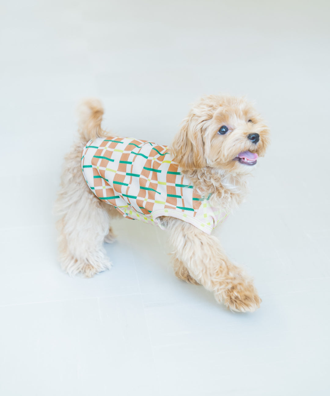 SUNGRID DOG WEAR