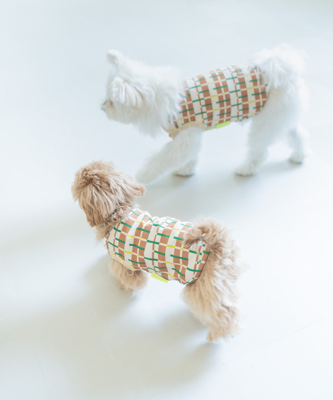 SUNGRID DOG WEAR