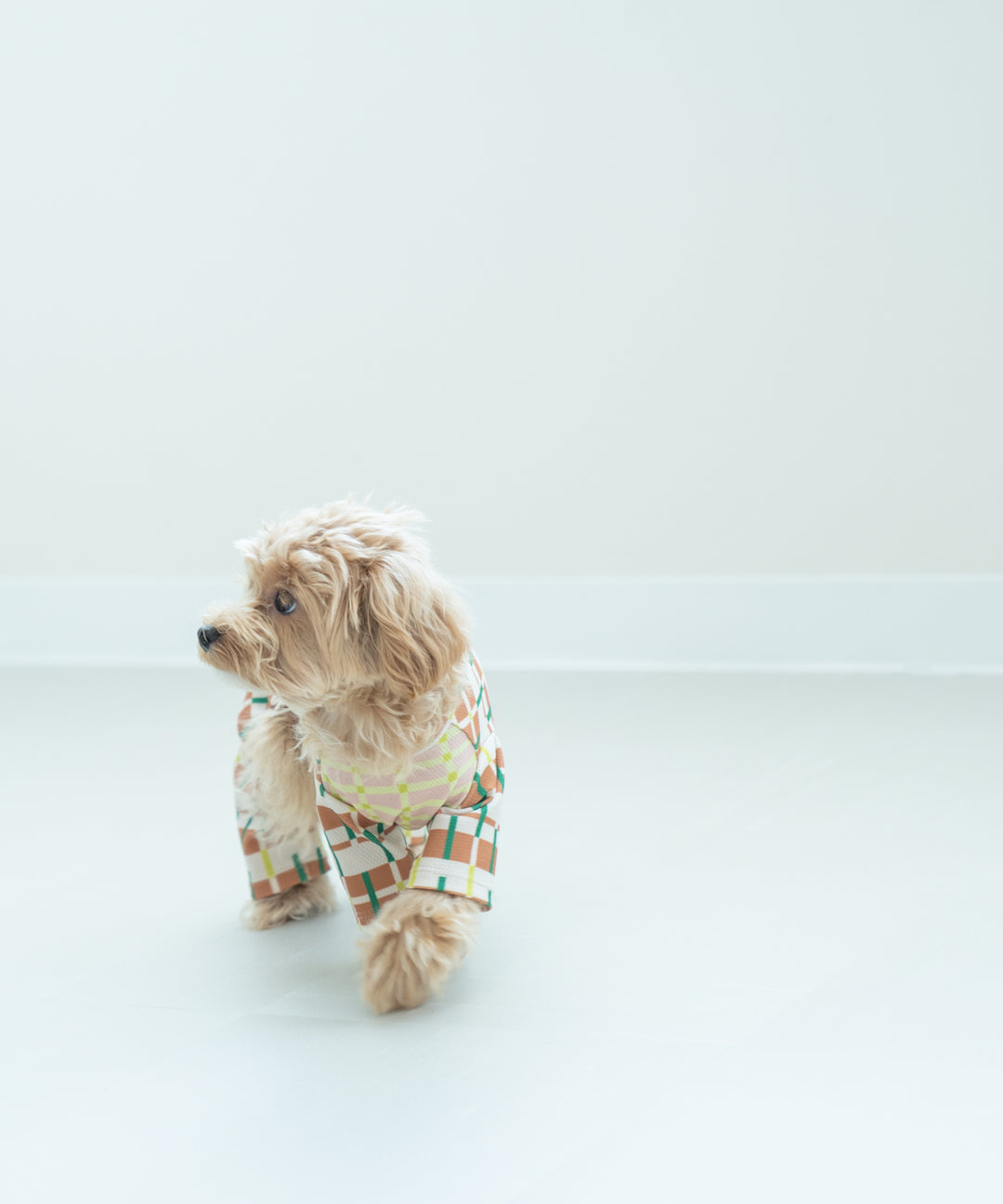 SUNGRID SLEEVED DOG WEAR