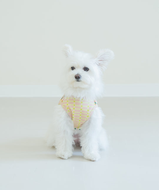 SUNGRID DOG WEAR