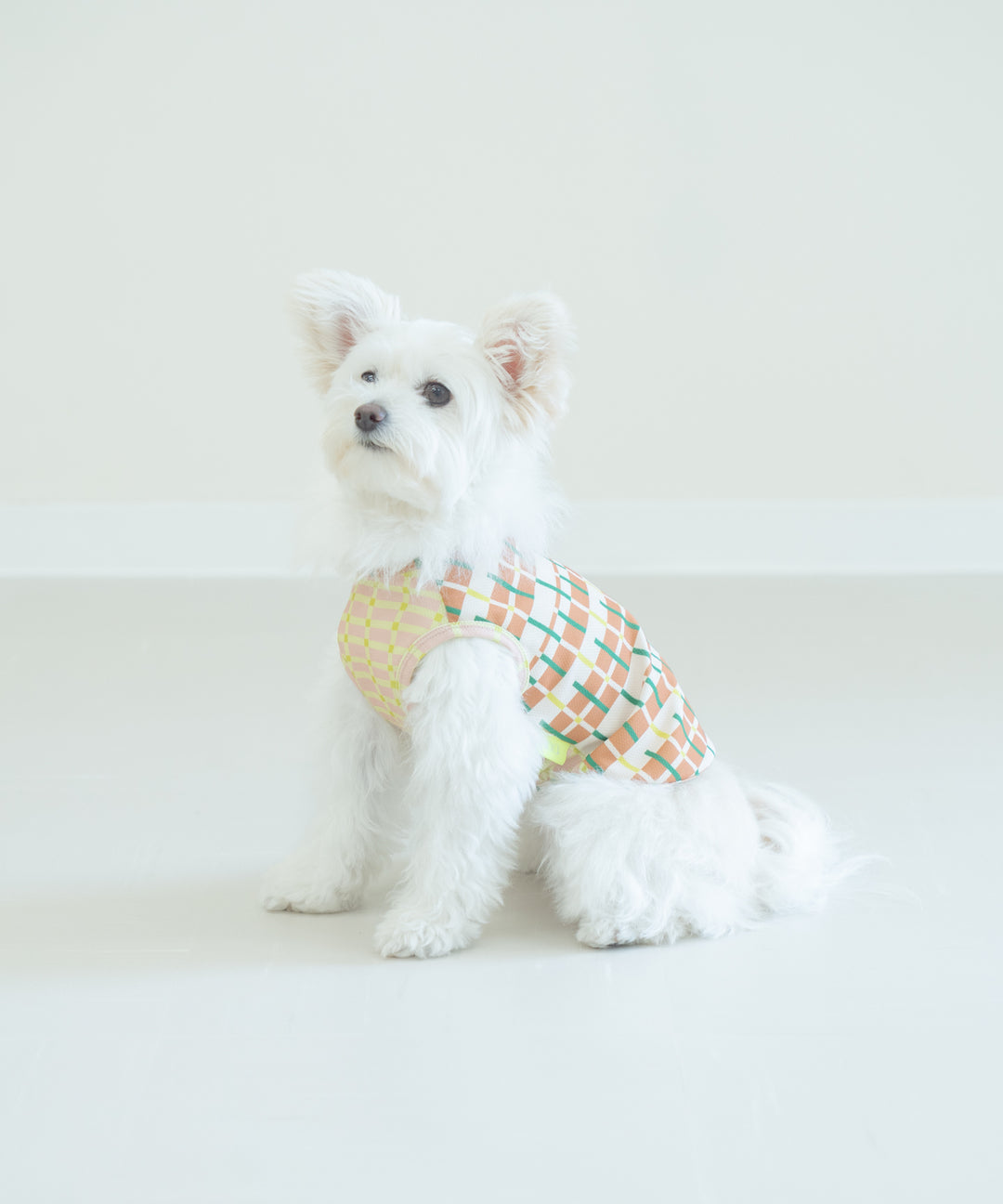 SUNGRID DOG WEAR