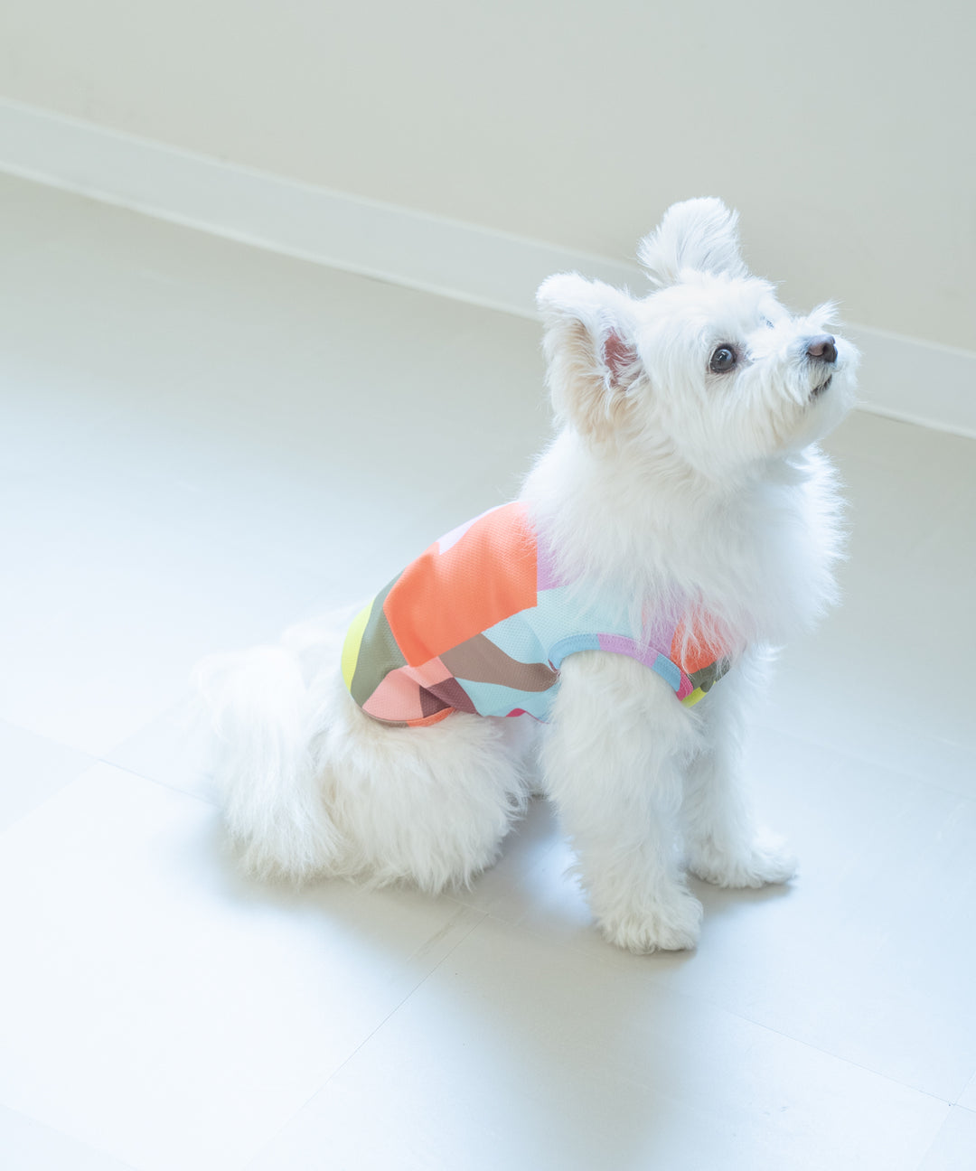 TSUMIKI DOG WEAR