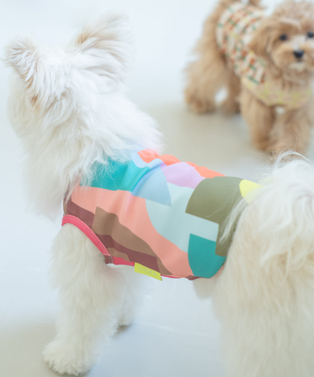 TSUMIKI DOG WEAR