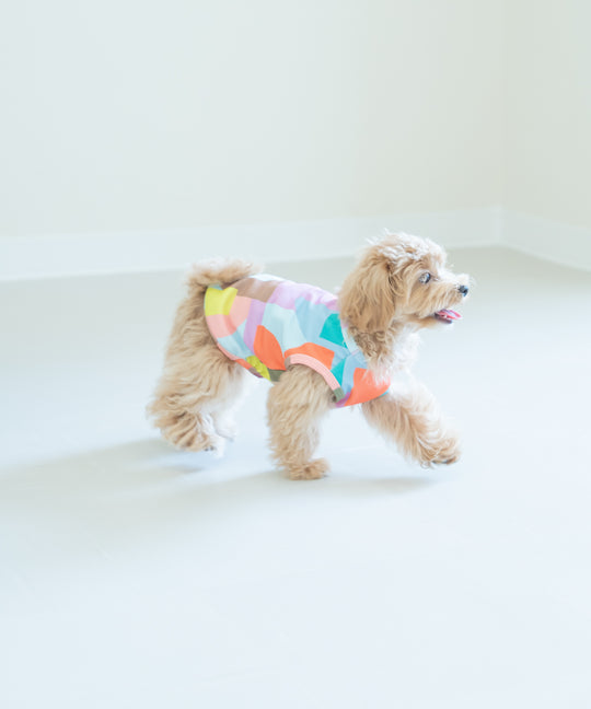 TSUMIKI DOG WEAR