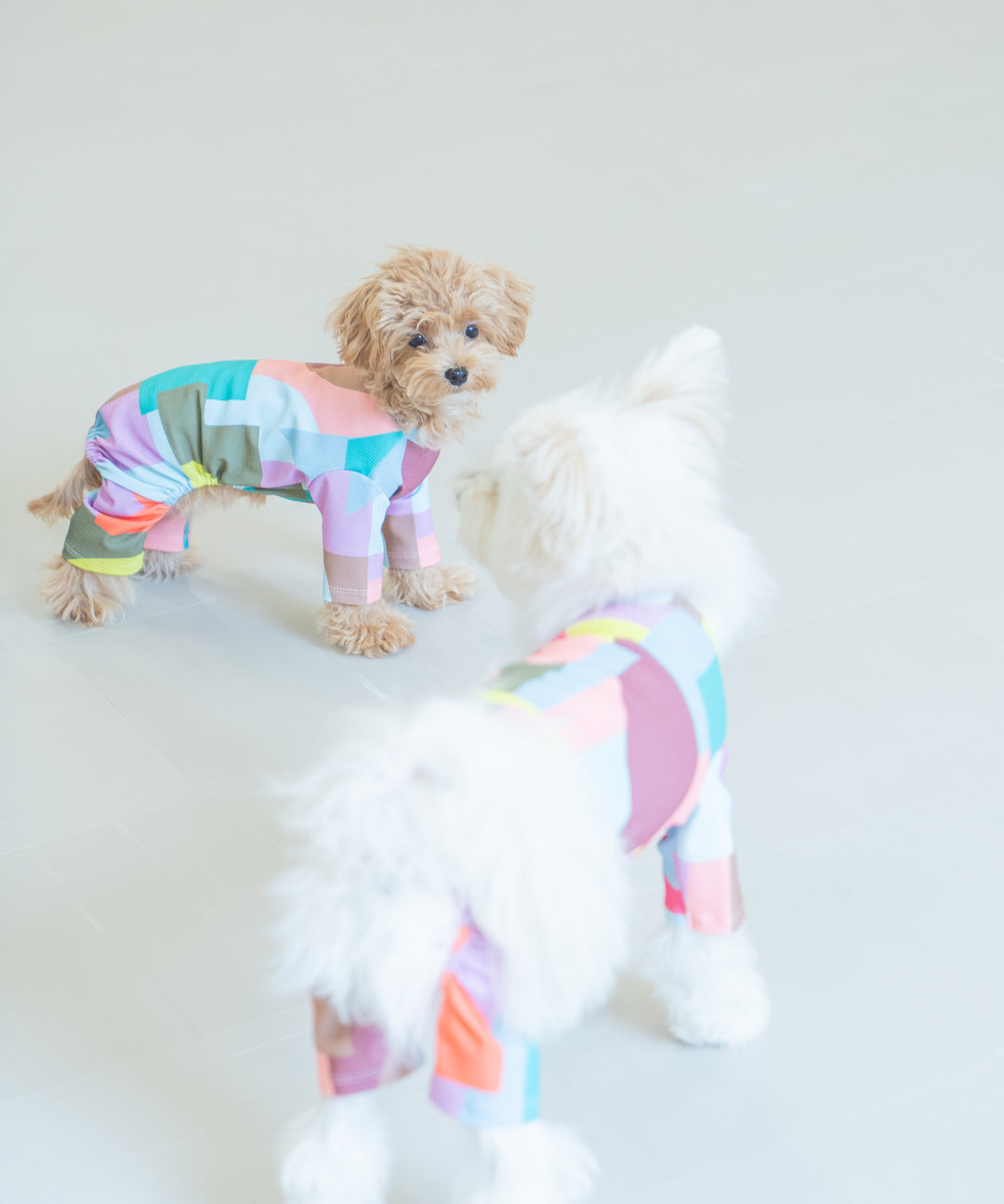 TSUMIKI SLEEVED DOG WEAR