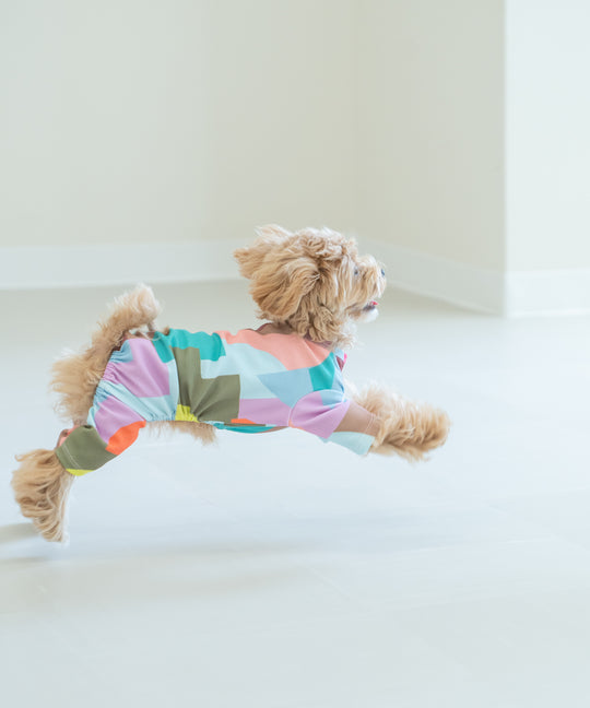 TSUMIKI SLEEVED DOG WEAR
