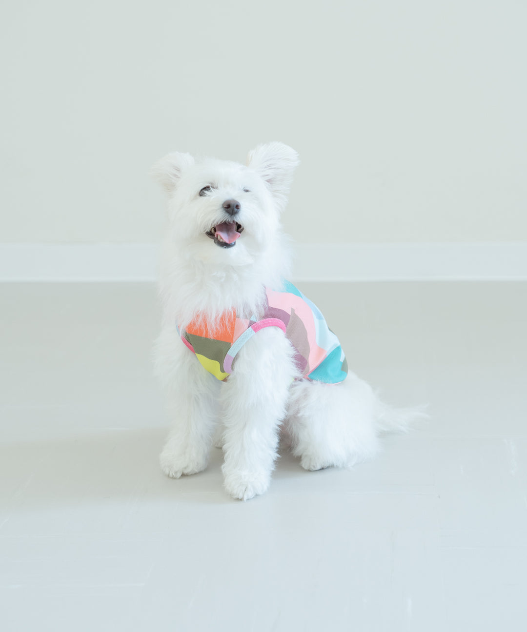 TSUMIKI DOG WEAR