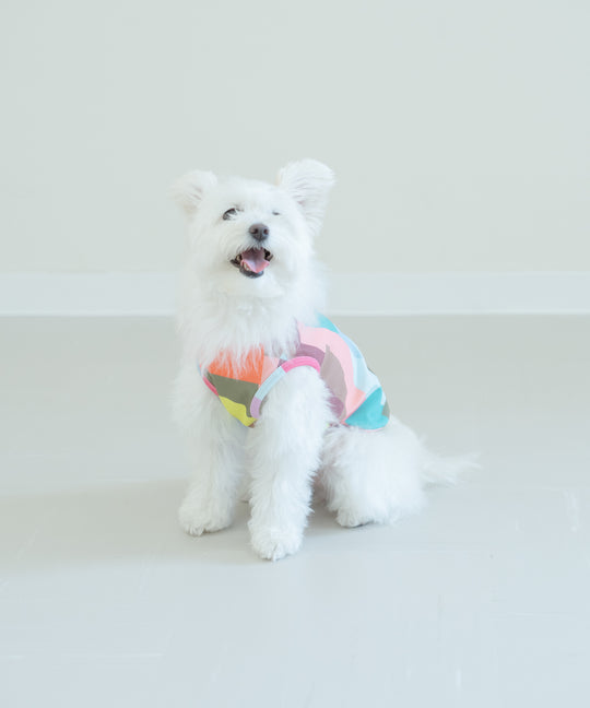 TSUMIKI DOG WEAR