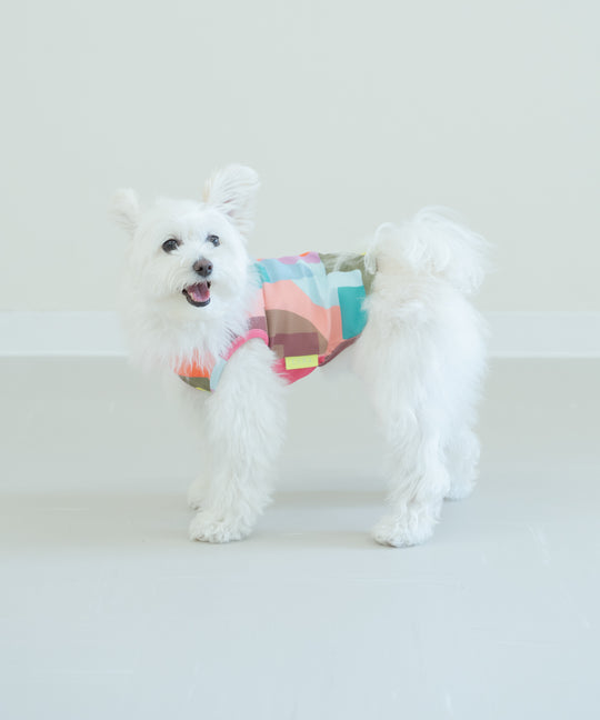 TSUMIKI DOG WEAR