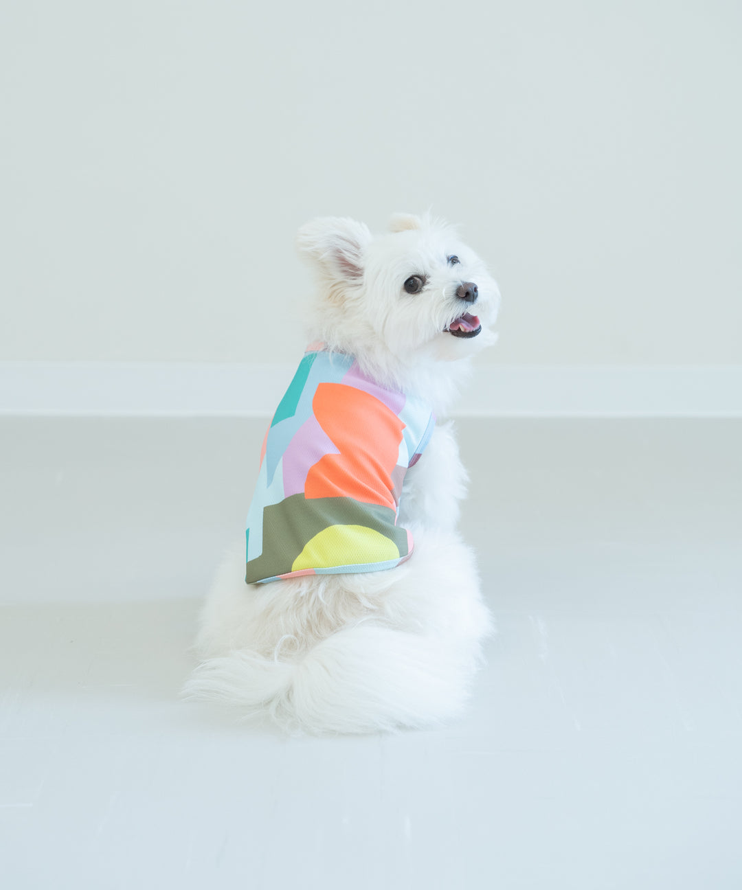 TSUMIKI DOG WEAR