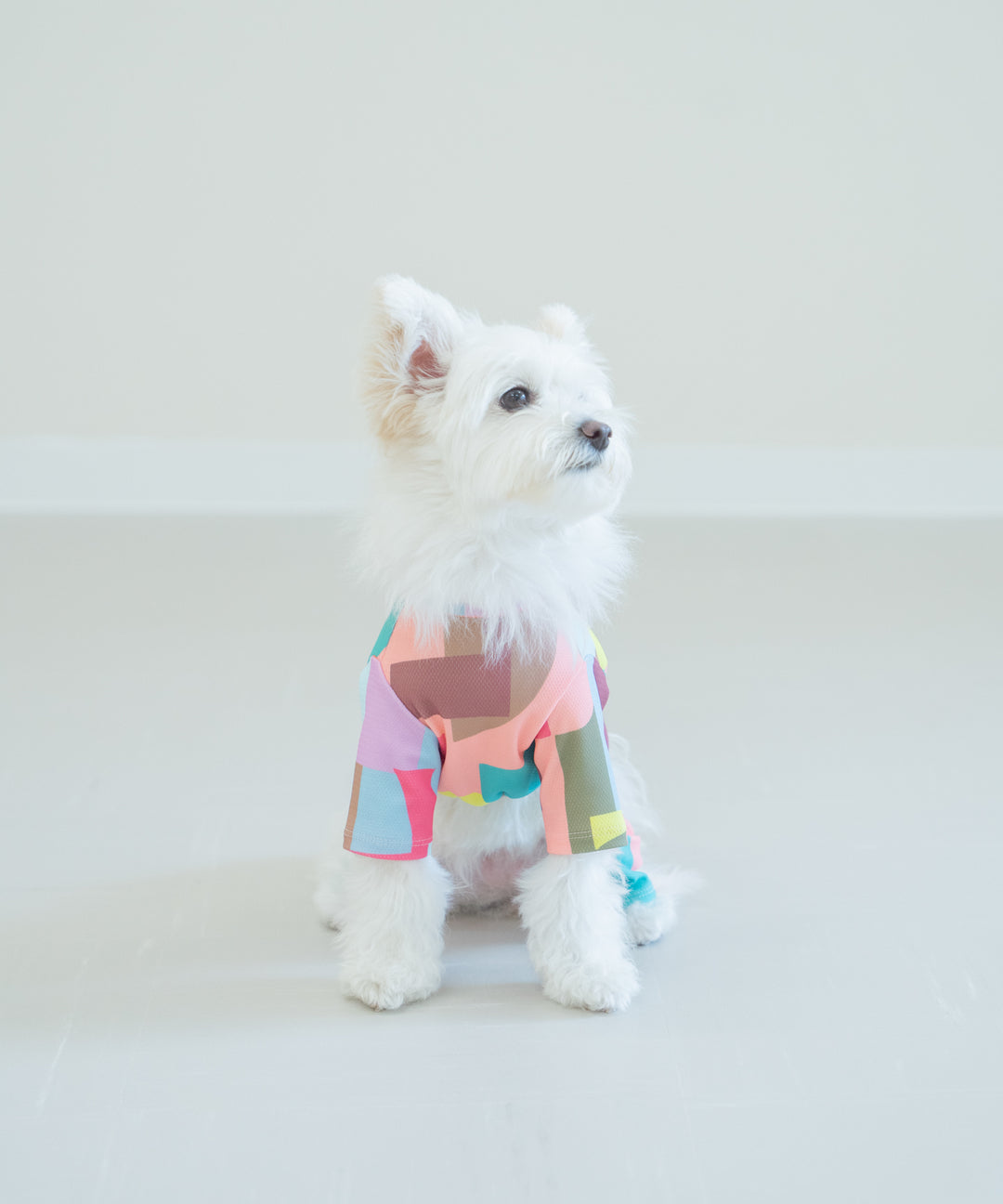 TSUMIKI SLEEVED DOG WEAR