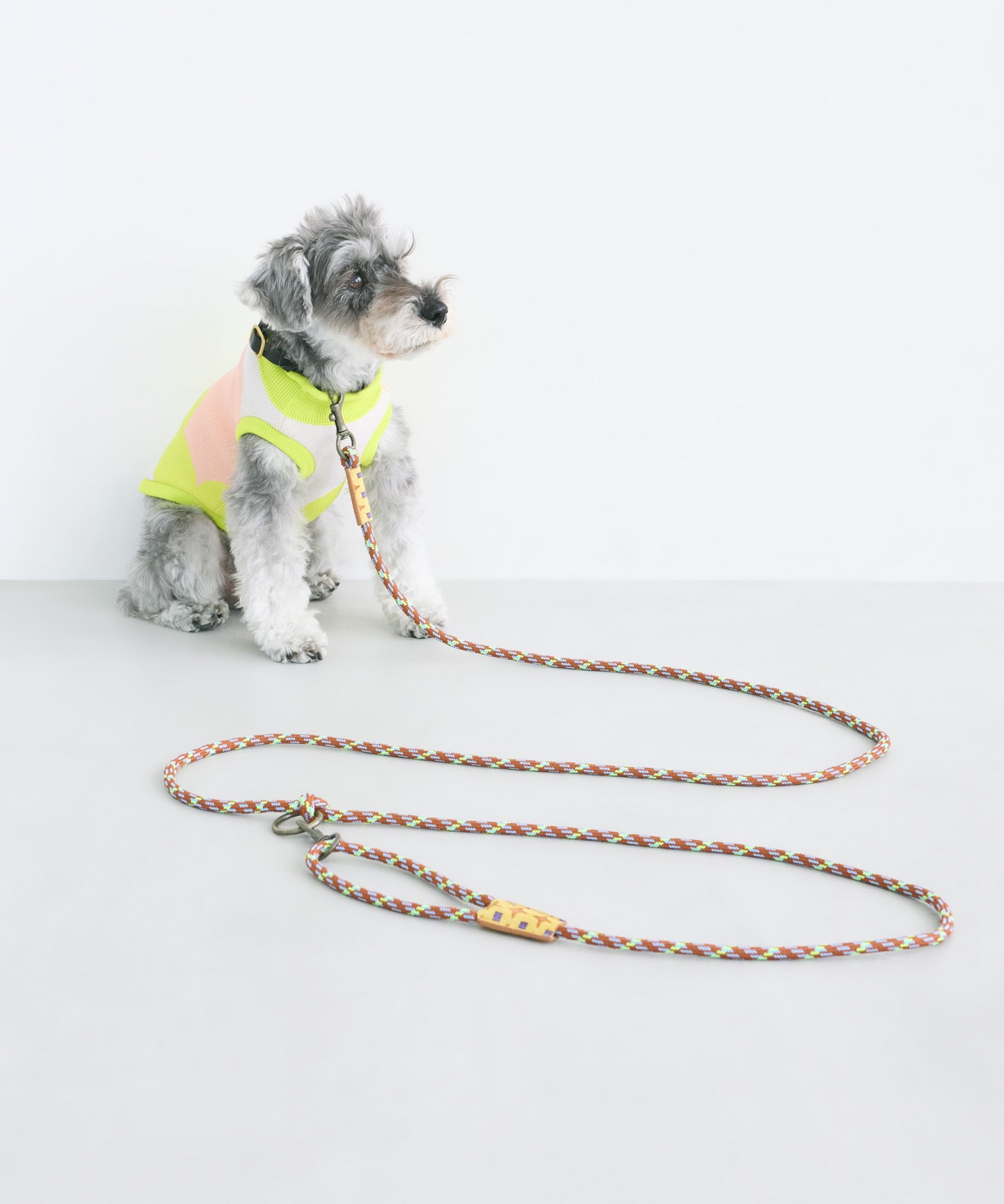 UPBEAT CROSS DOG HANDS FREE LEASH – COQ KANAKO KAJIHARA online store