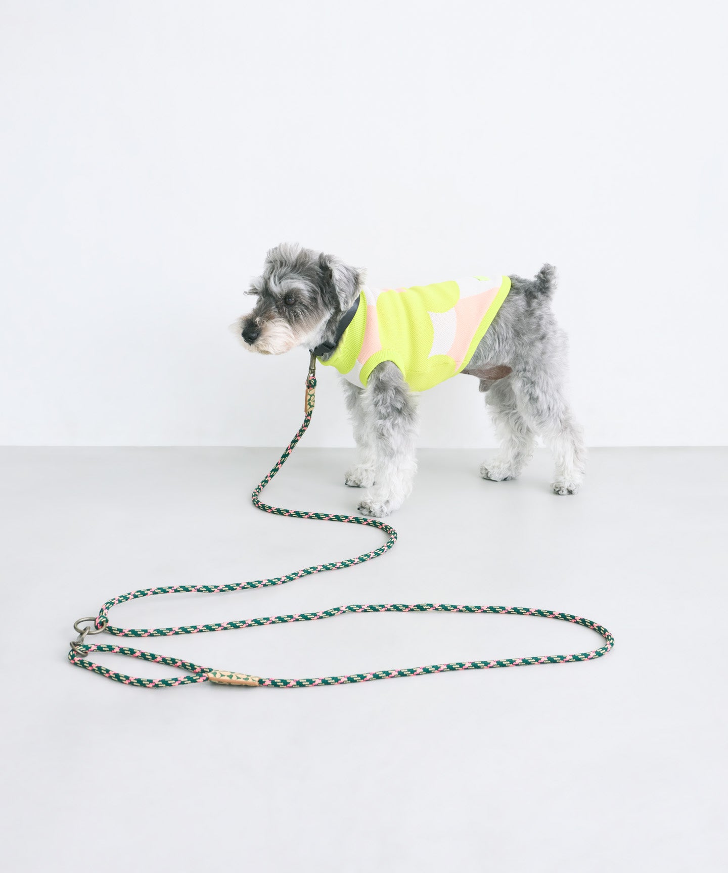 UPBEAT CROSS DOG HANDS FREE LEASH – COQ KANAKO KAJIHARA online store